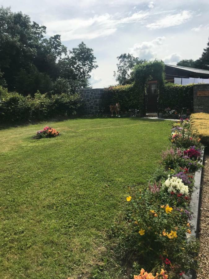 Cozy Countryside Log Cabin Kilkenny Zewnętrze zdjęcie